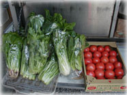 有機野菜